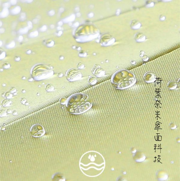 【拉烏好物】蘇杭名傘X拉烏 16骨『西子 傘』黑膠皮柄純色長傘